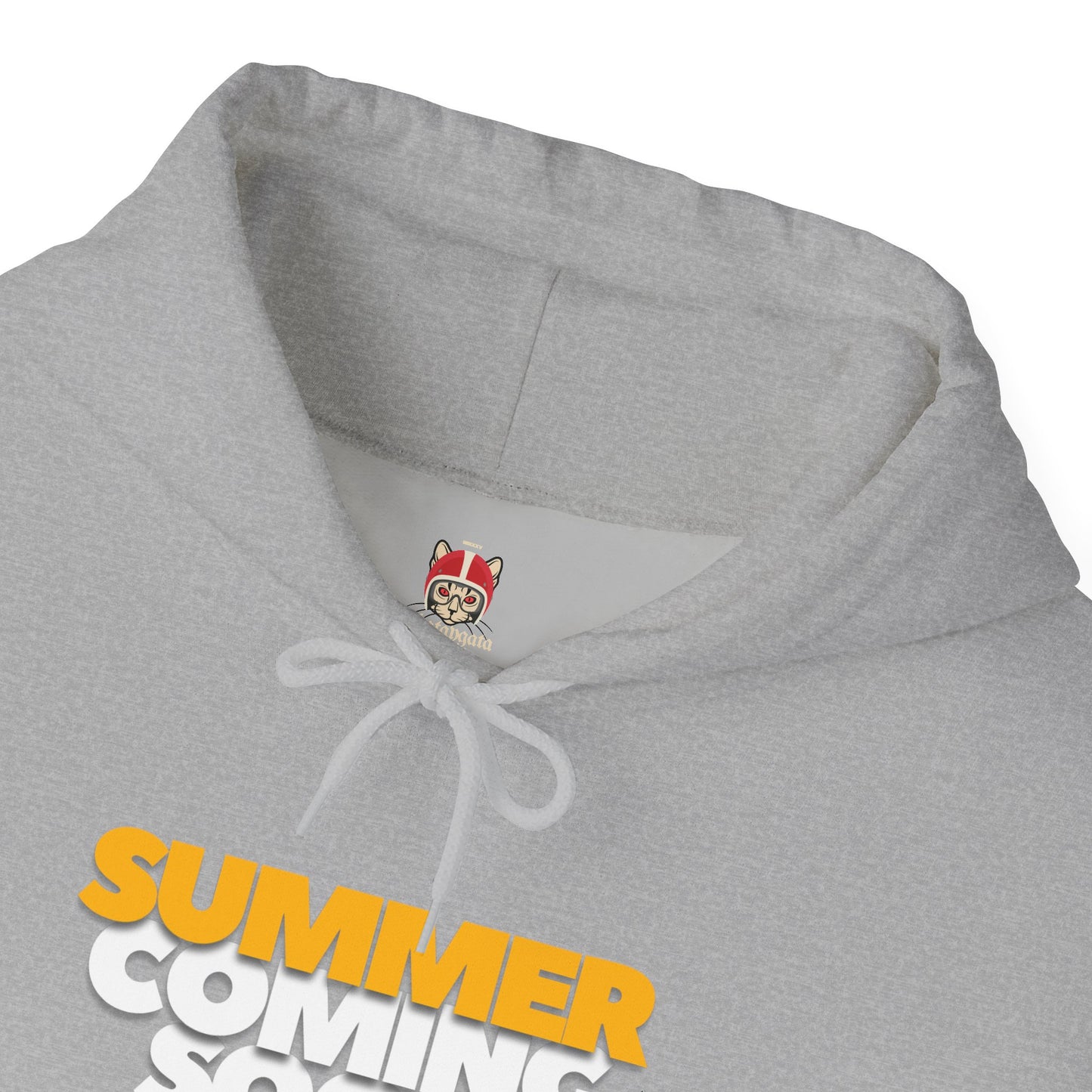 The summer is coming Hoodie