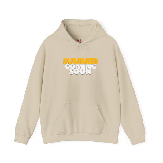 The summer is coming Hoodie