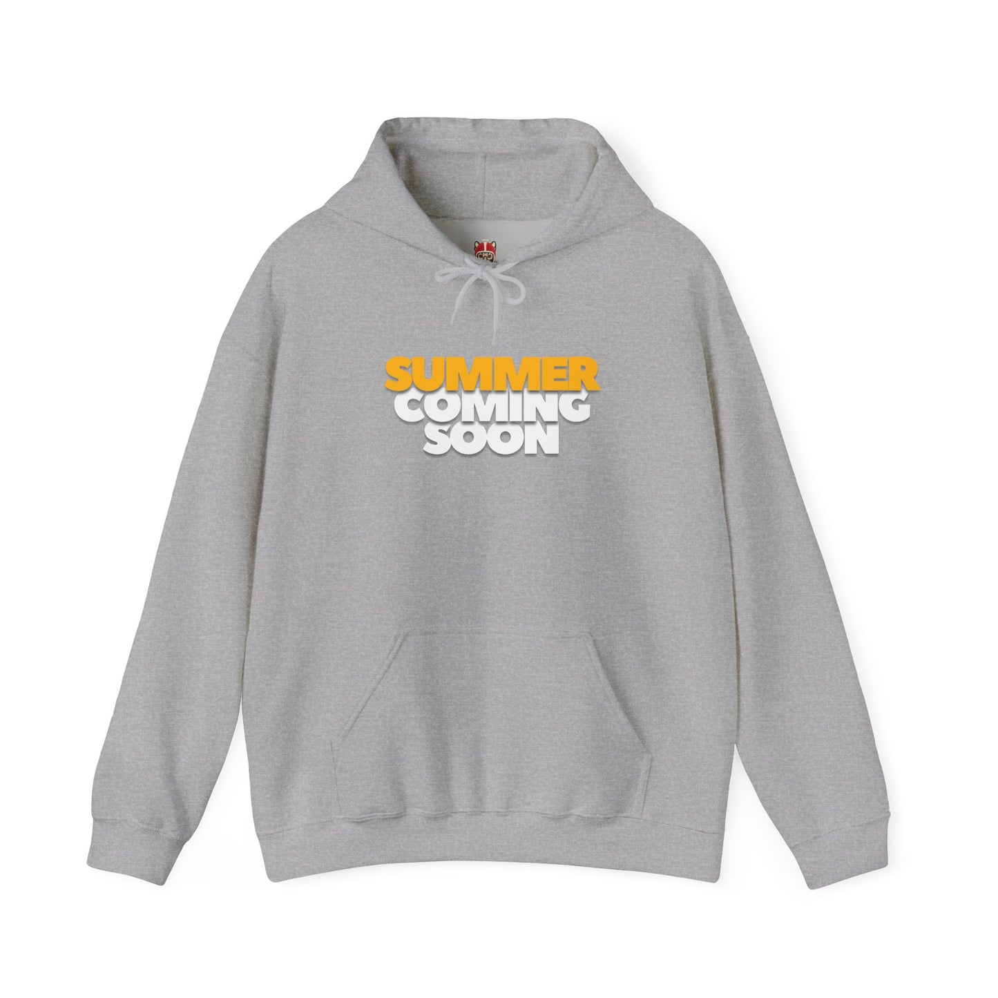 The summer is coming Hoodie