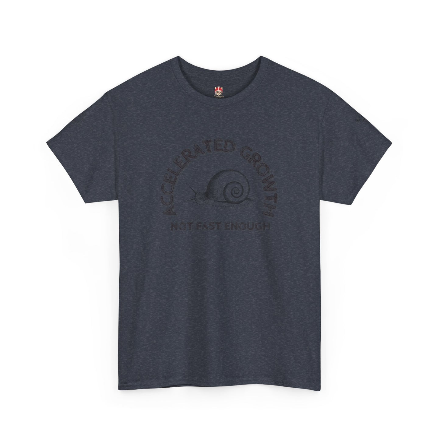 BD NOT FAST- Unisex Heavy Cotton Tee