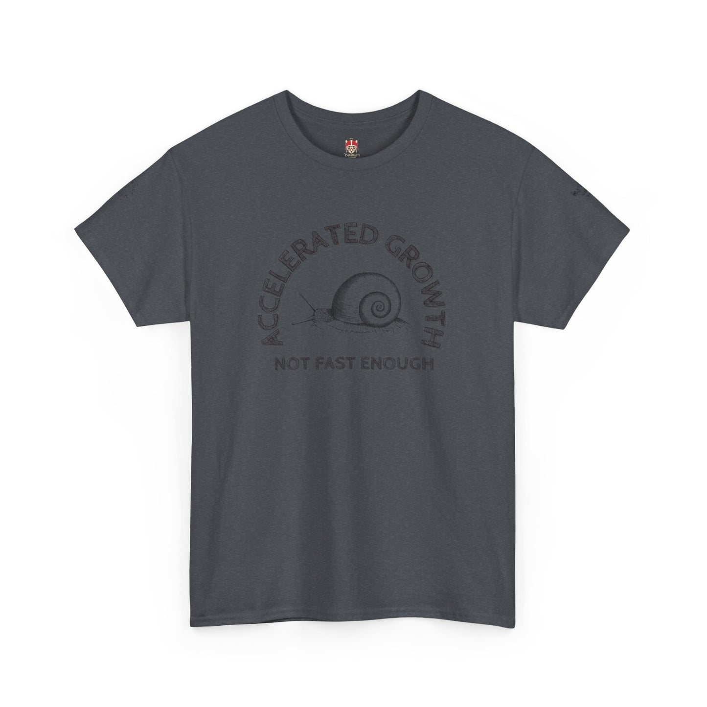 BD NOT FAST- Unisex Heavy Cotton Tee