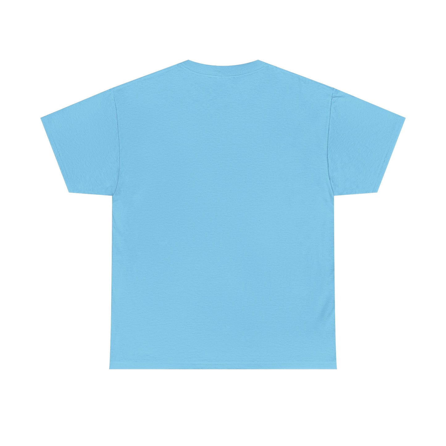 NO HAY PLATA - Unisex Heavy Cotton Tee