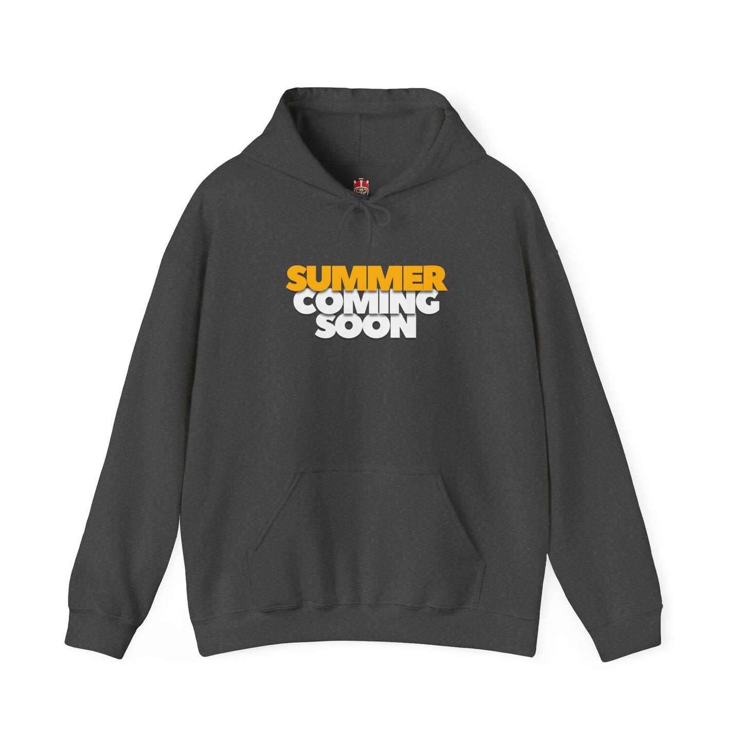 The summer is coming Hoodie