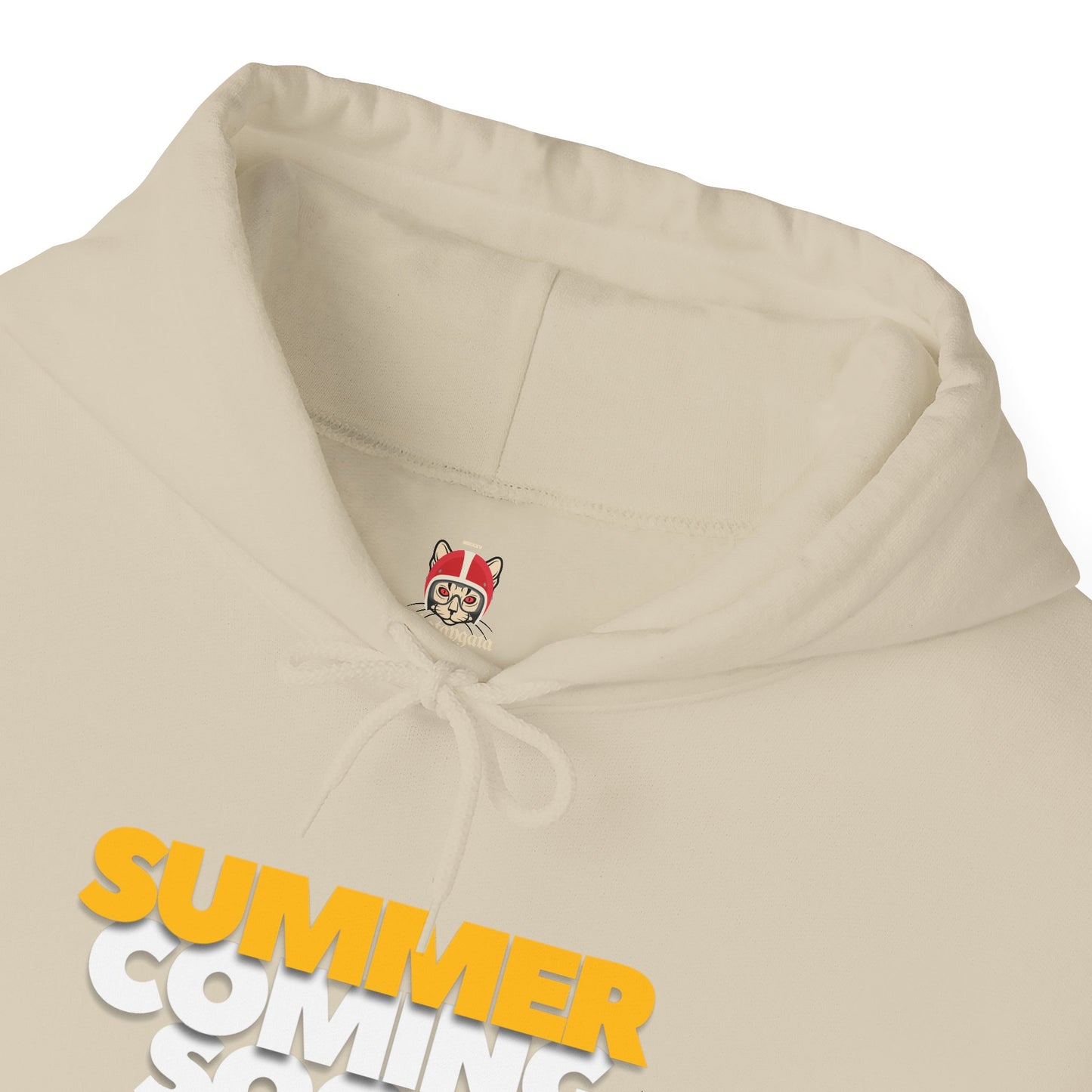 The summer is coming Hoodie